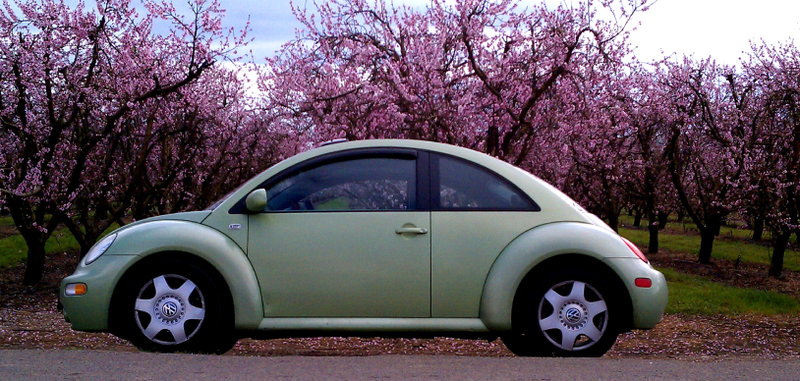 Illustration for article titled A girl and her car: A love story.